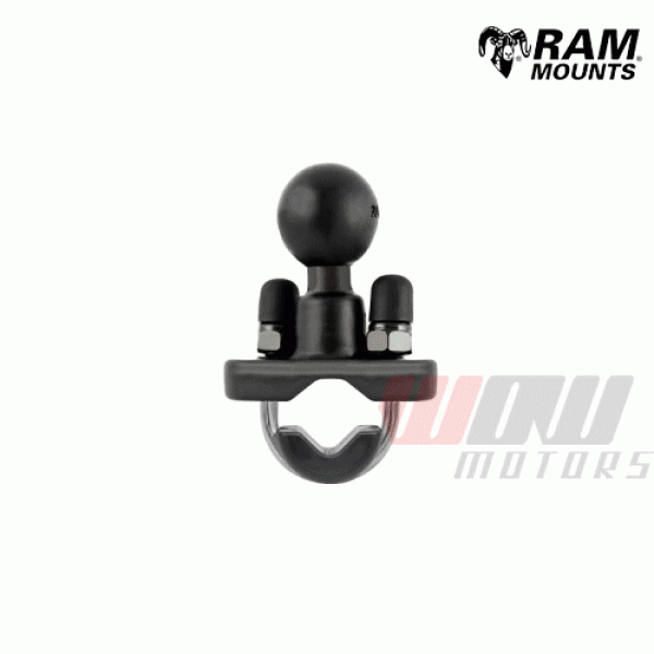 Daisy on the Ohoopee