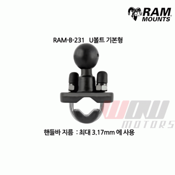 Daisy on the Ohoopee