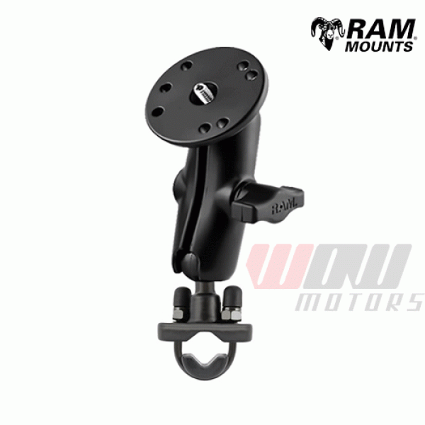 Daisy on the Ohoopee