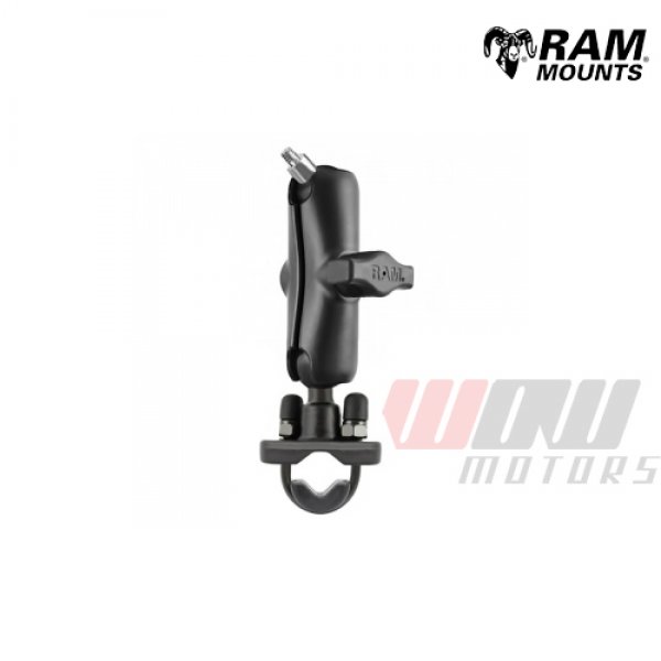 Daisy on the Ohoopee