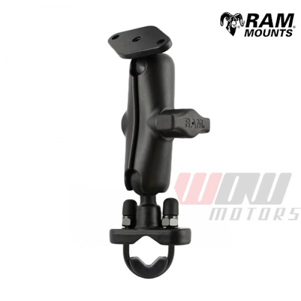 Daisy on the Ohoopee