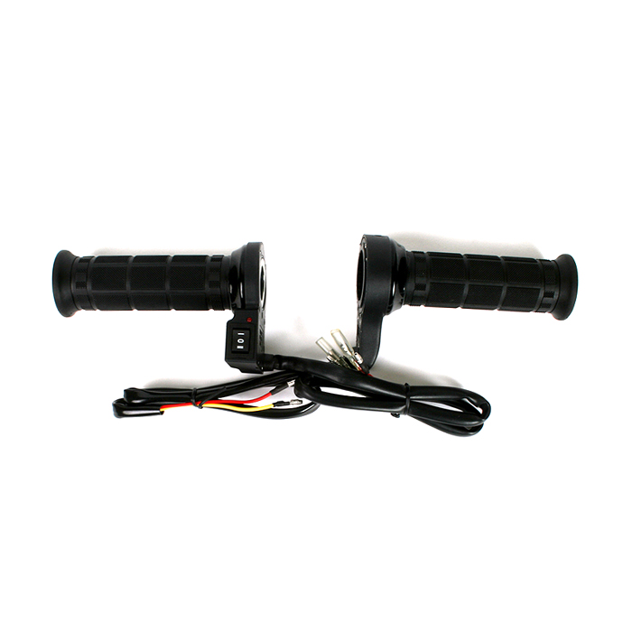 Daisy on the Ohoopee