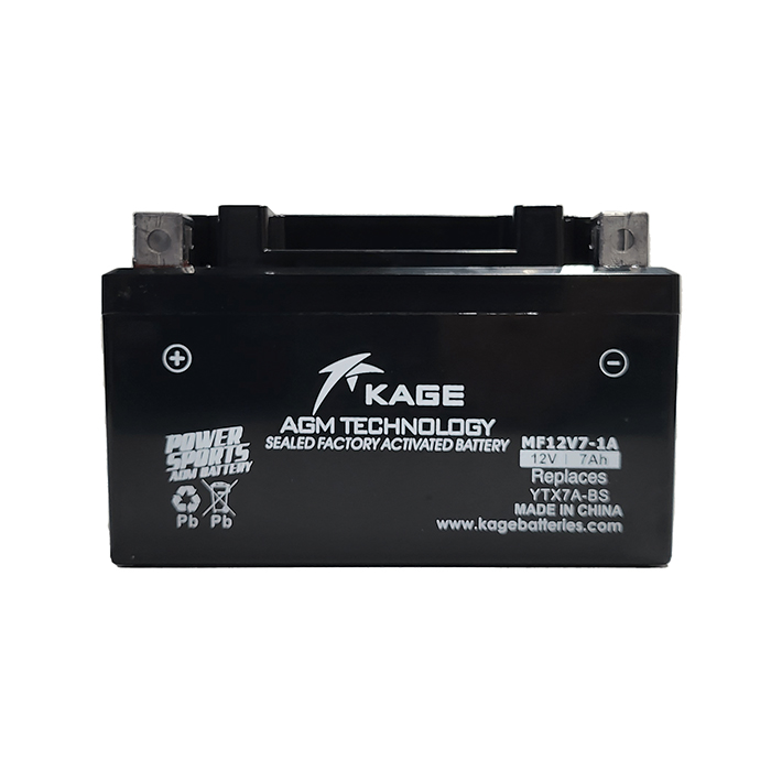 Daisy on the Ohoopee