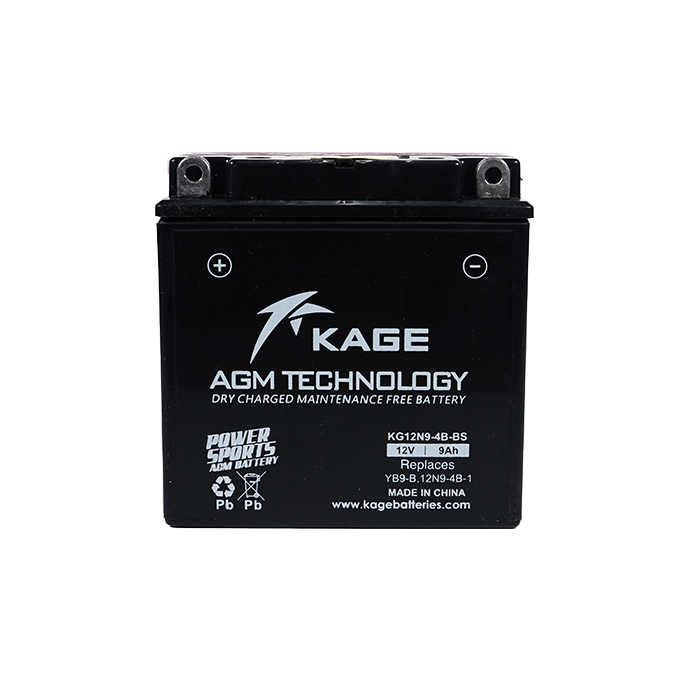 Daisy on the Ohoopee