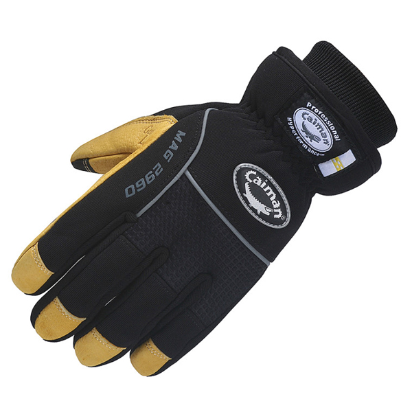 Daisy on the Ohoopee