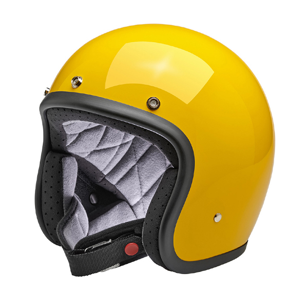 Daisy on the Ohoopee