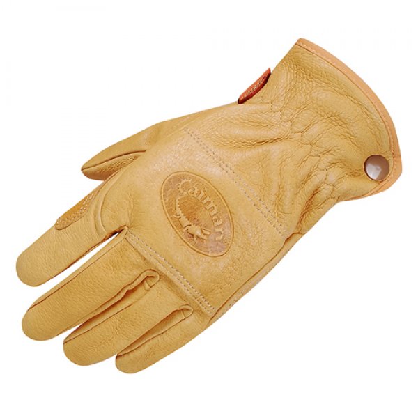 Daisy on the Ohoopee