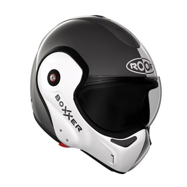 Daisy on the Ohoopee