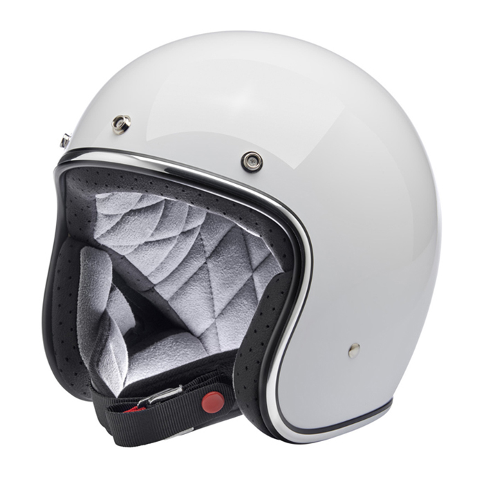 Daisy on the Ohoopee