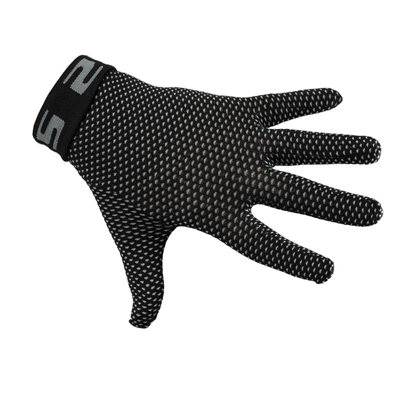 Daisy on the Ohoopee