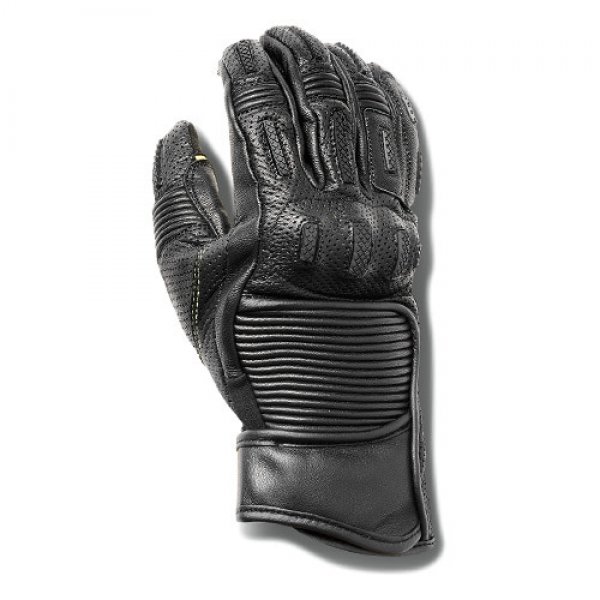 Daisy on the Ohoopee