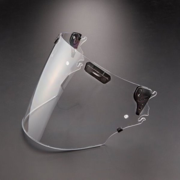 Daisy on the Ohoopee