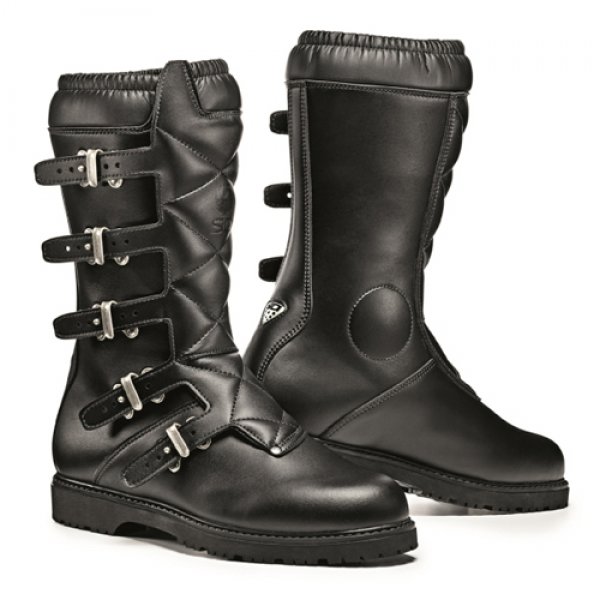 Daisy on the Ohoopee