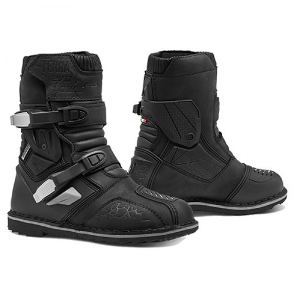 Daisy on the Ohoopee