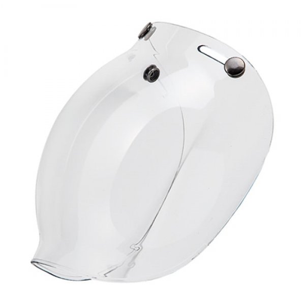 Daisy on the Ohoopee