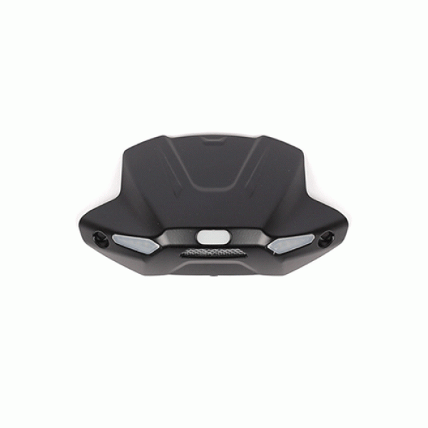 Daisy on the Ohoopee