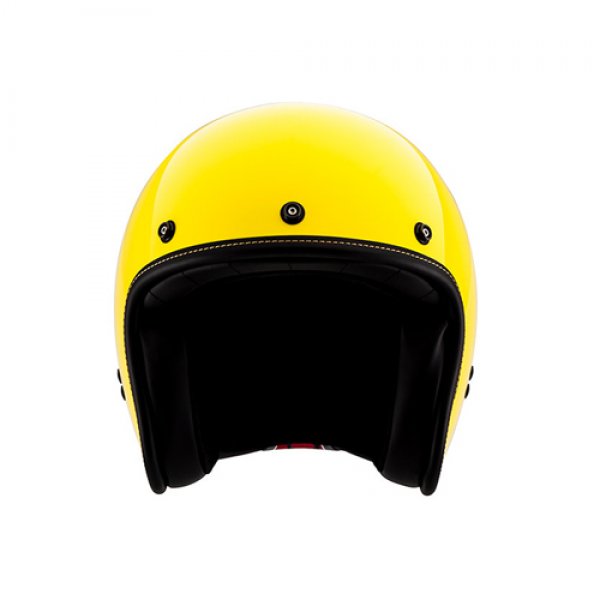 Daisy on the Ohoopee