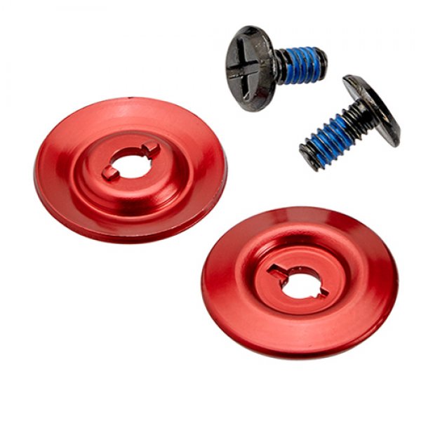 Daisy on the Ohoopee