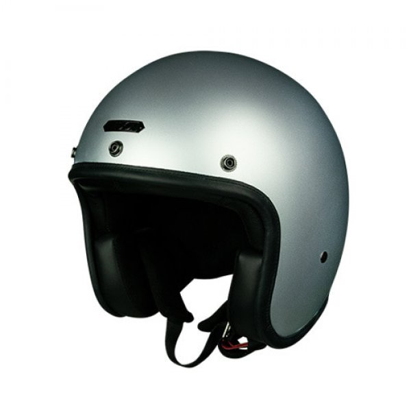 Daisy on the Ohoopee