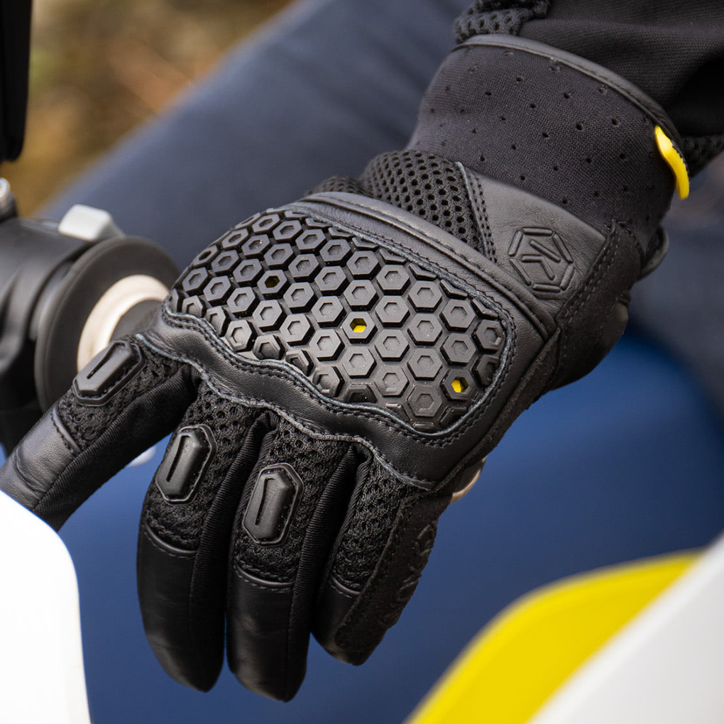 Daisy on the Ohoopee