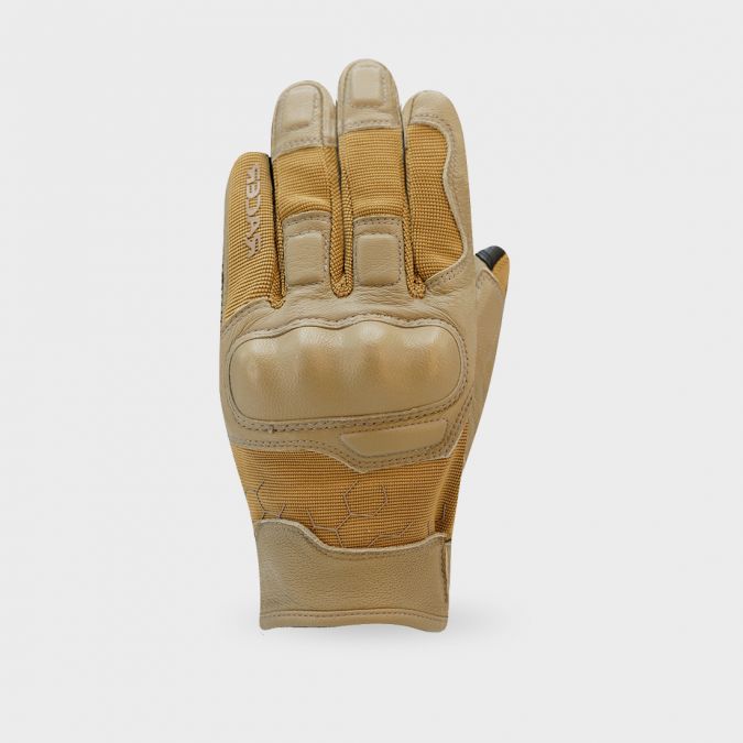 Daisy on the Ohoopee