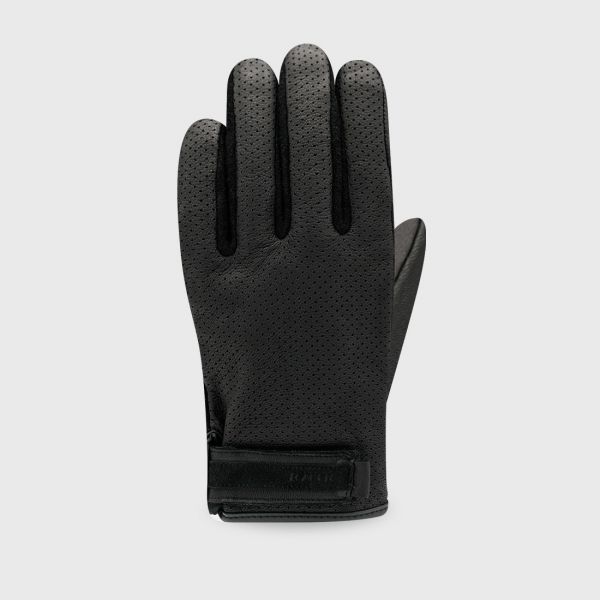 Daisy on the Ohoopee