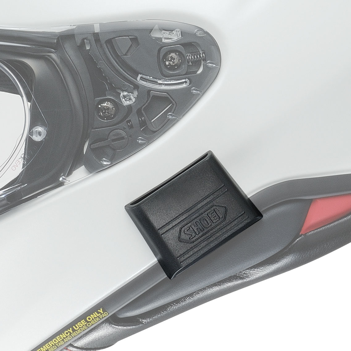 Daisy on the Ohoopee