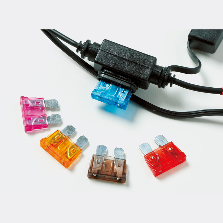 Daisy on the Ohoopee