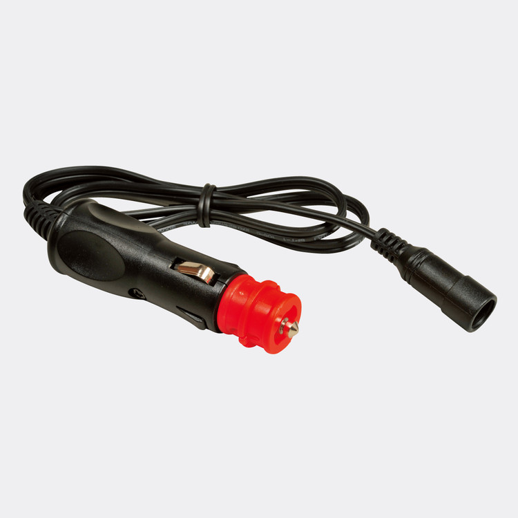 Daisy on the Ohoopee