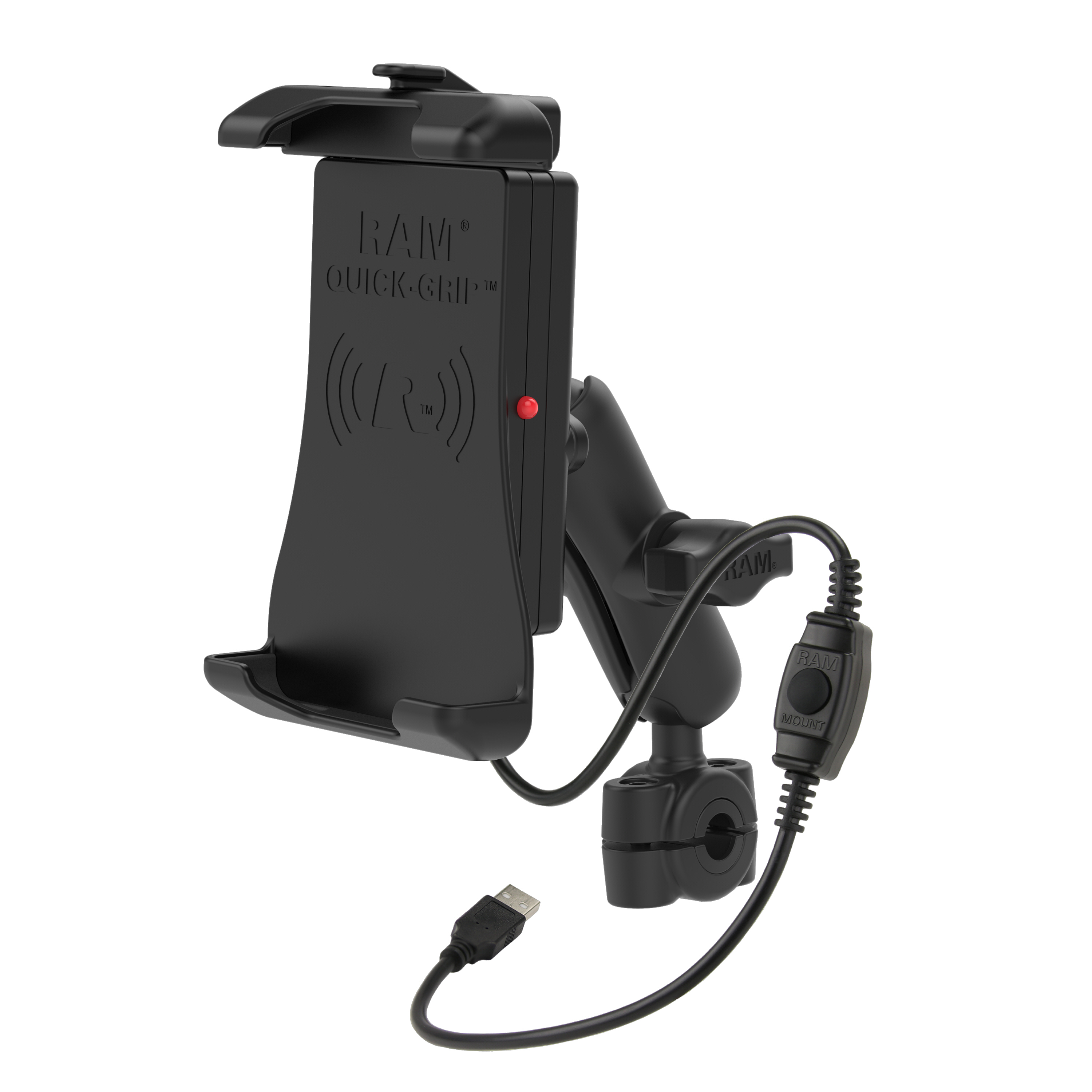 Daisy on the Ohoopee