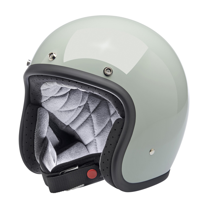 Daisy on the Ohoopee