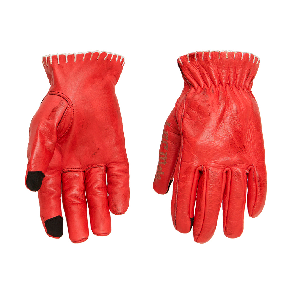 Daisy on the Ohoopee