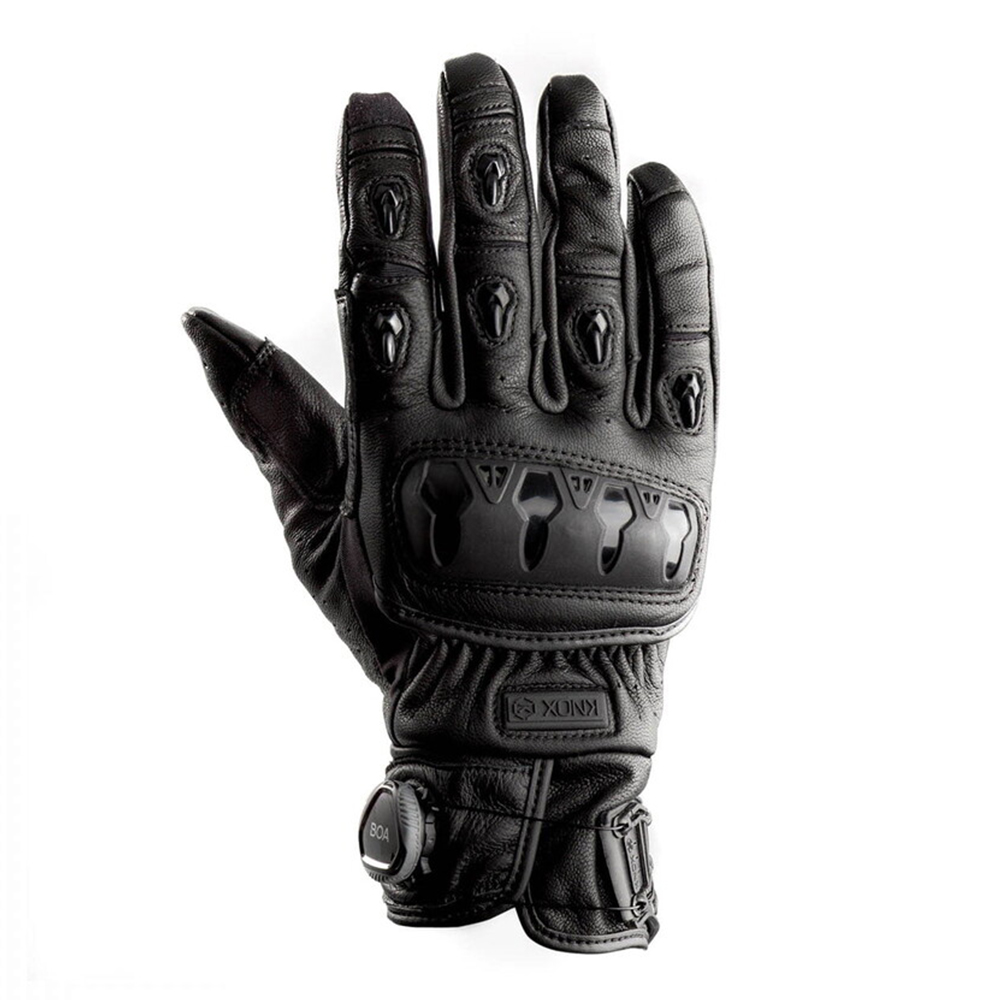 Daisy on the Ohoopee