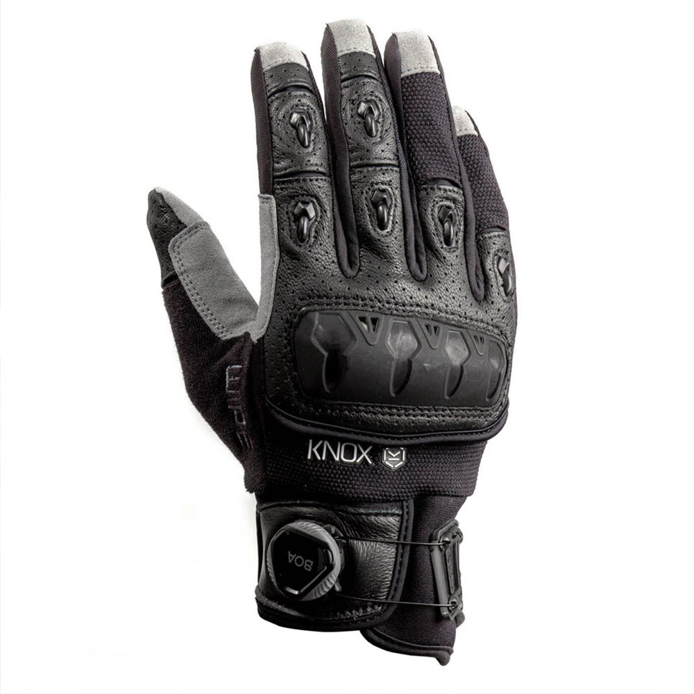 Daisy on the Ohoopee