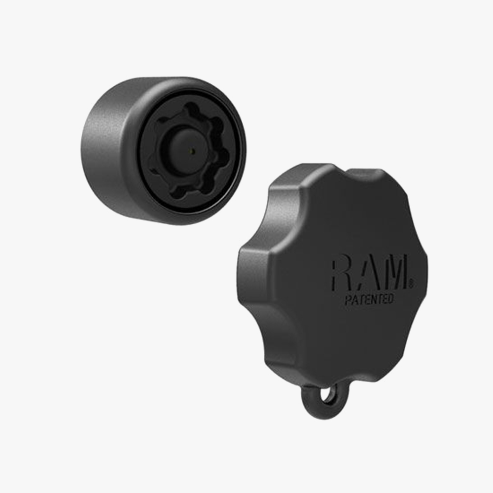 Daisy on the Ohoopee