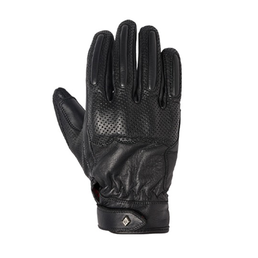 Daisy on the Ohoopee