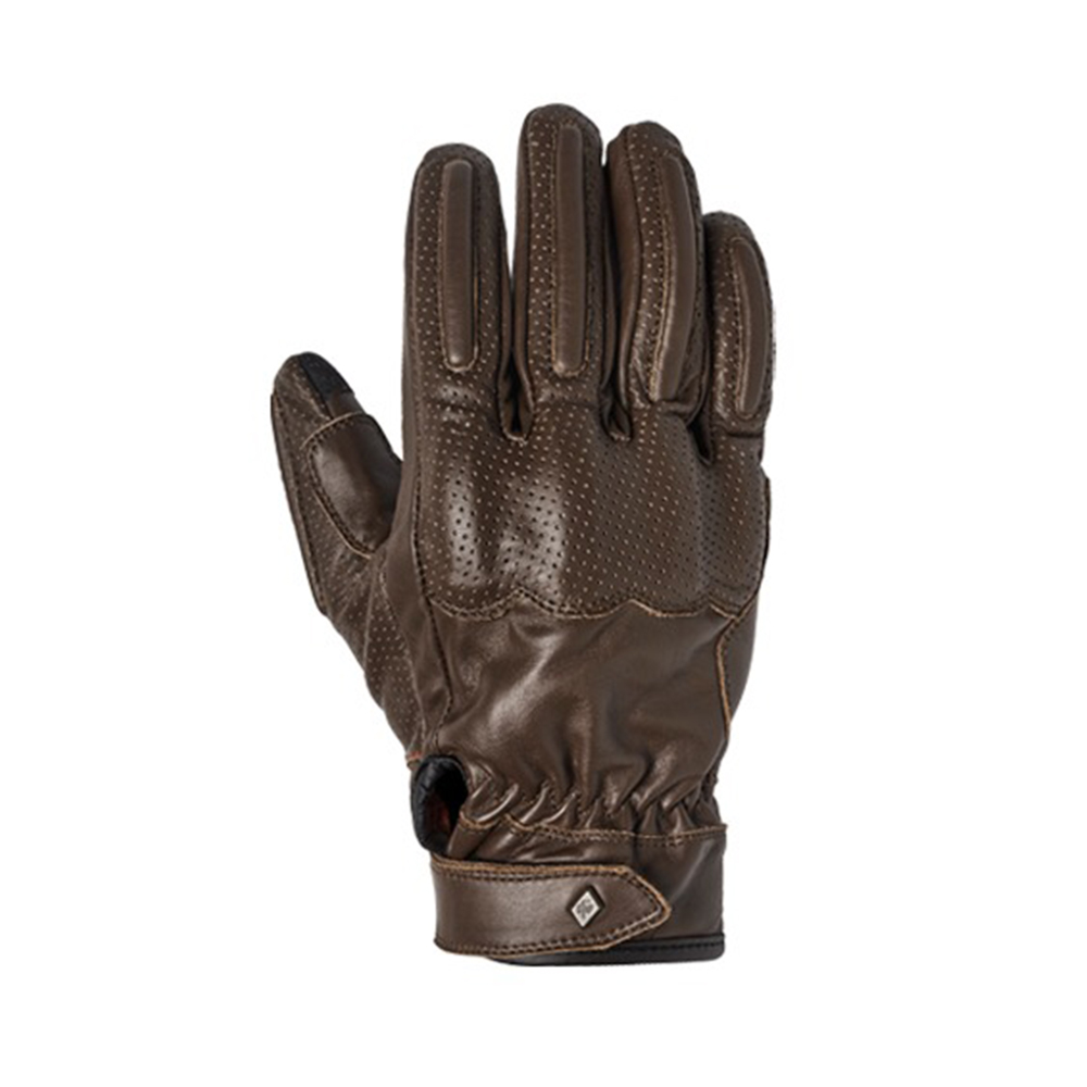 Daisy on the Ohoopee