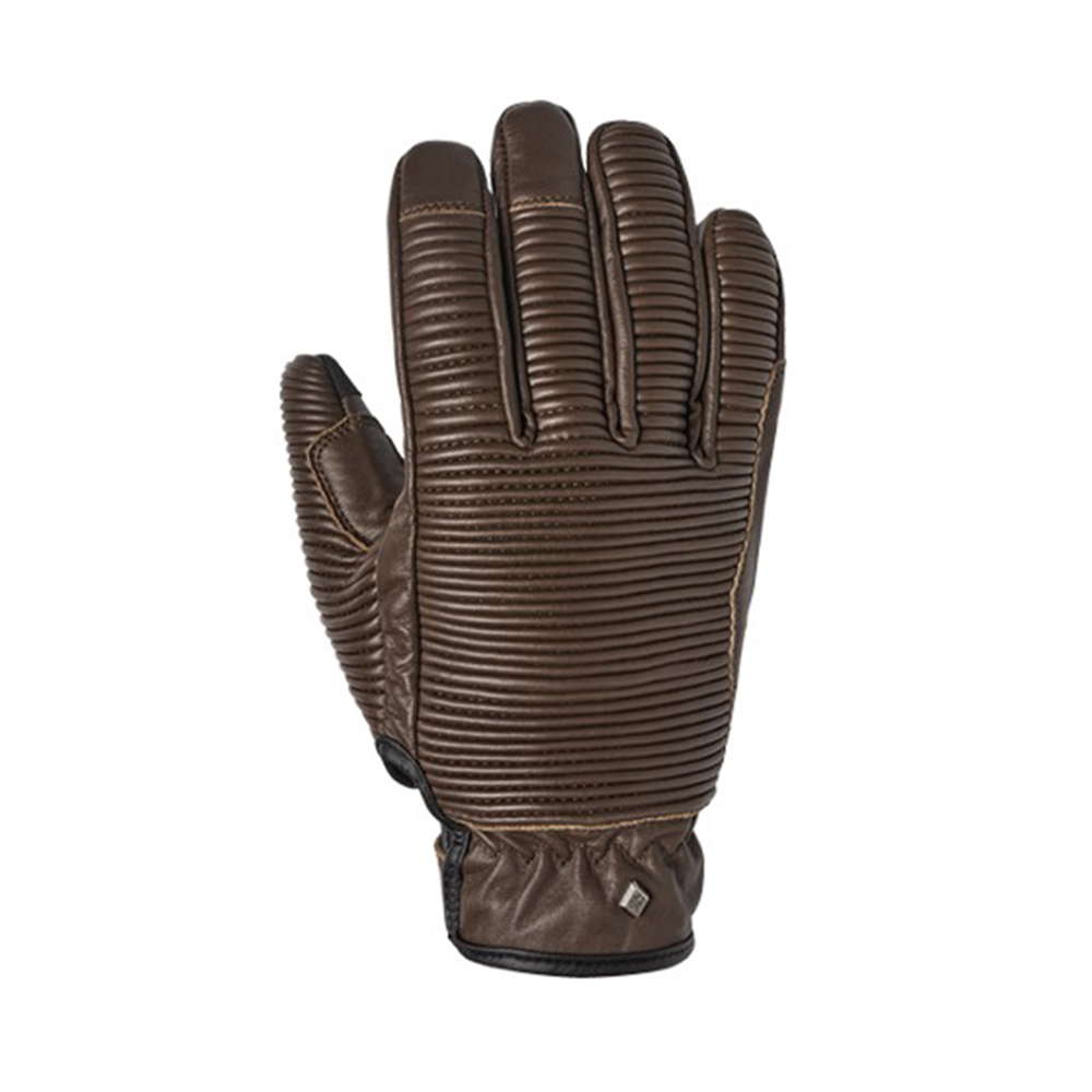 Daisy on the Ohoopee