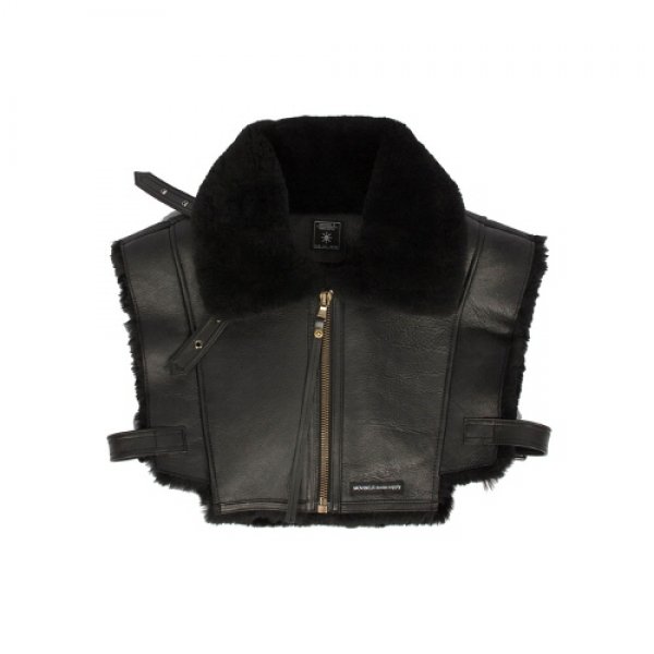 Daisy on the Ohoopee