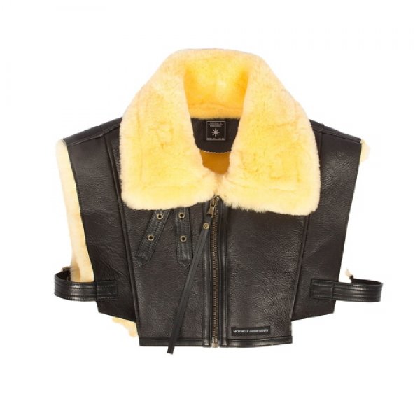 Daisy on the Ohoopee