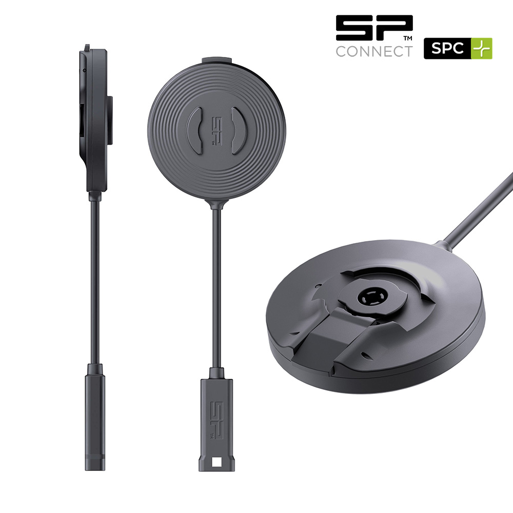 Daisy on the Ohoopee