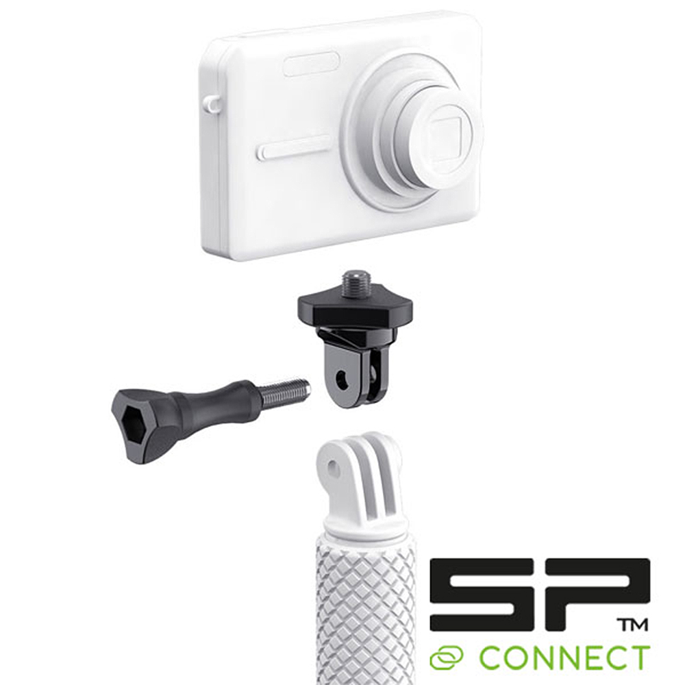 Daisy on the Ohoopee