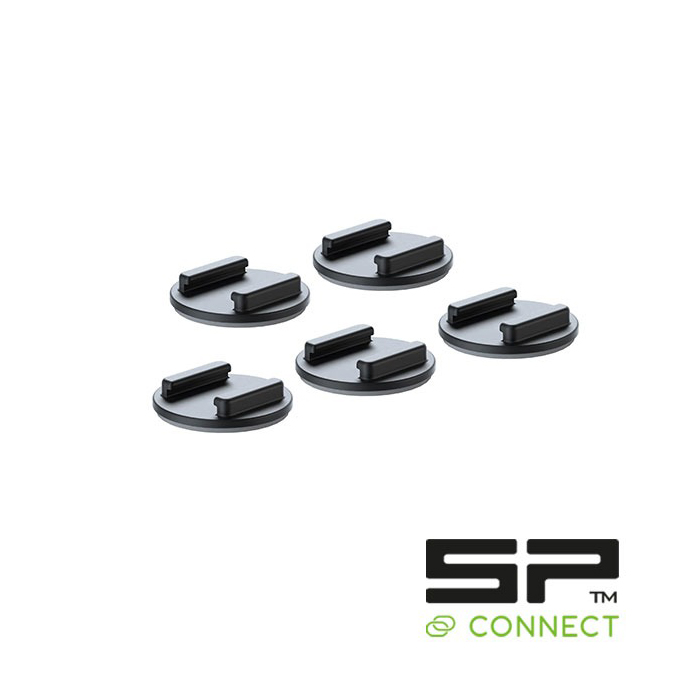 Daisy on the Ohoopee