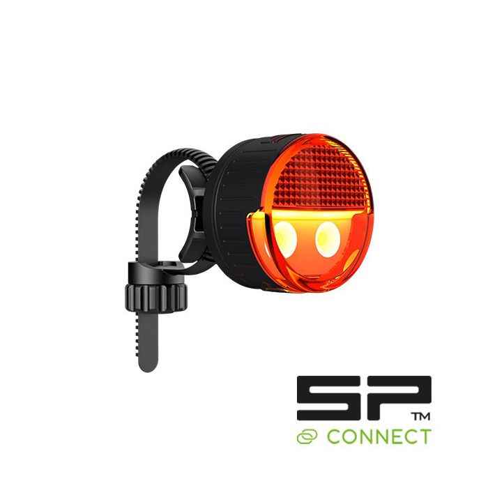 Daisy on the Ohoopee