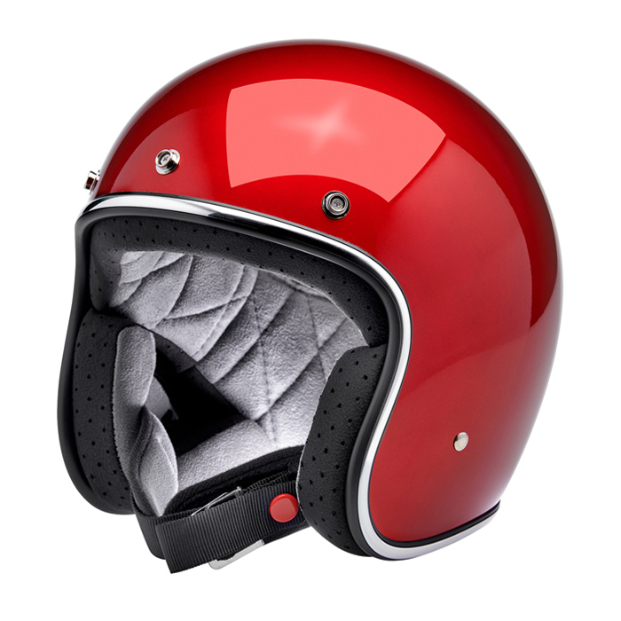 Daisy on the Ohoopee