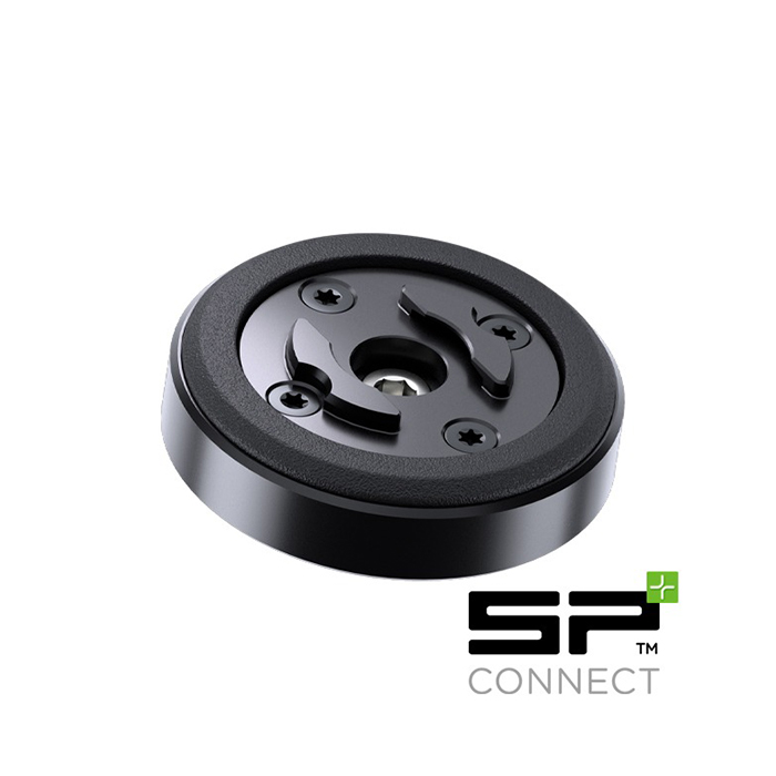 Daisy on the Ohoopee