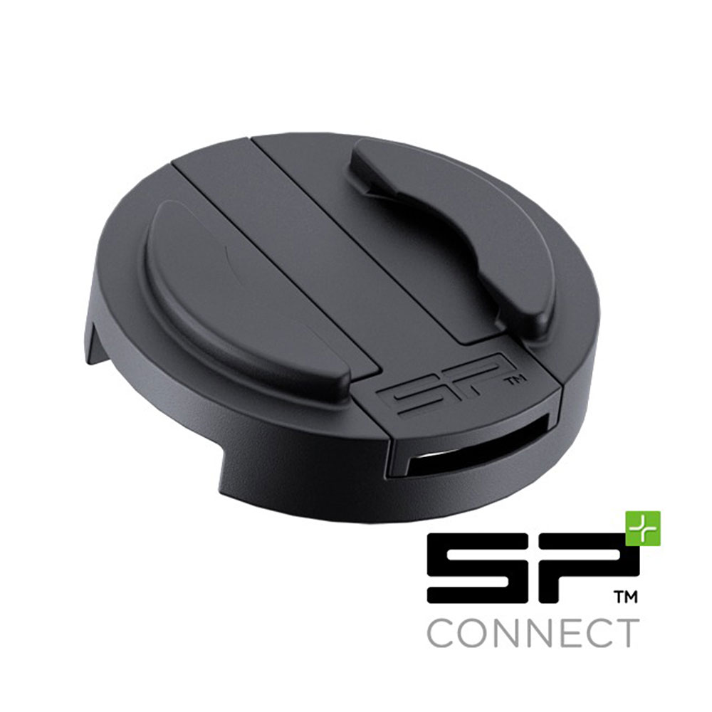 Daisy on the Ohoopee