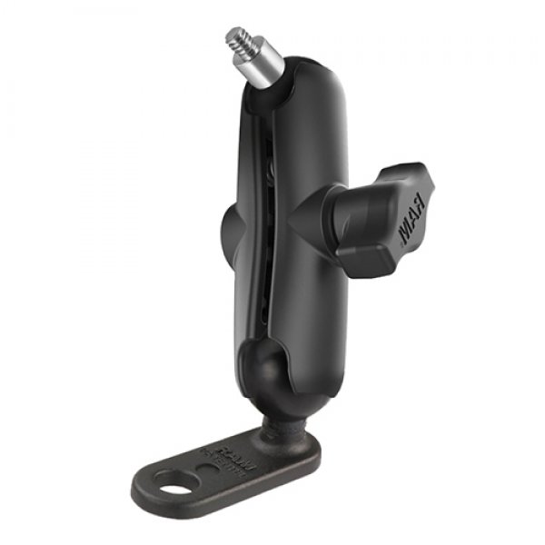 Daisy on the Ohoopee