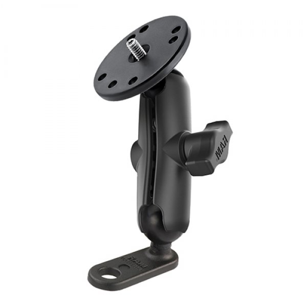 Daisy on the Ohoopee