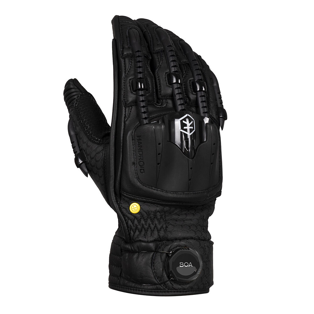 Daisy on the Ohoopee